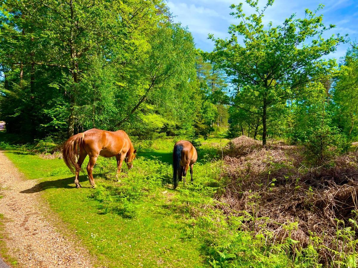 Holiday home Forest *